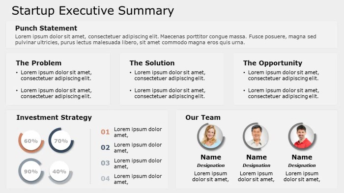 Penjelasan executive summary dan cara membuatnya