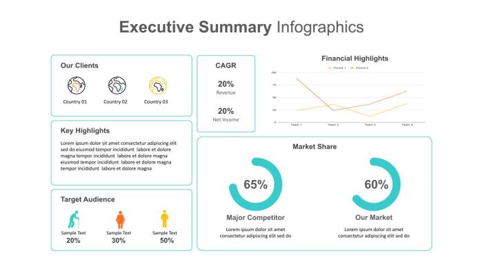 Summary executive proposal example examples investment business pdf nl