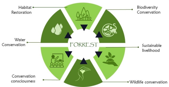 Forest forests conserve