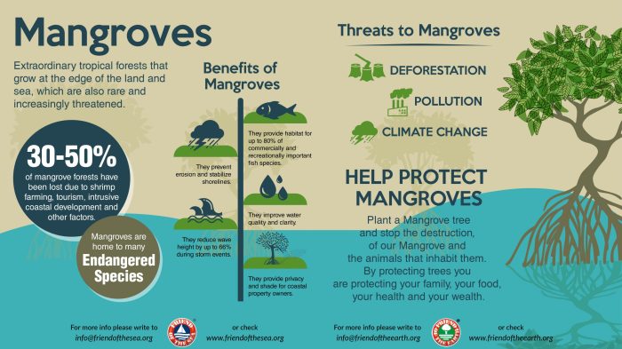 Pengertian hutan konservasi dan pentingnya pelestariannya