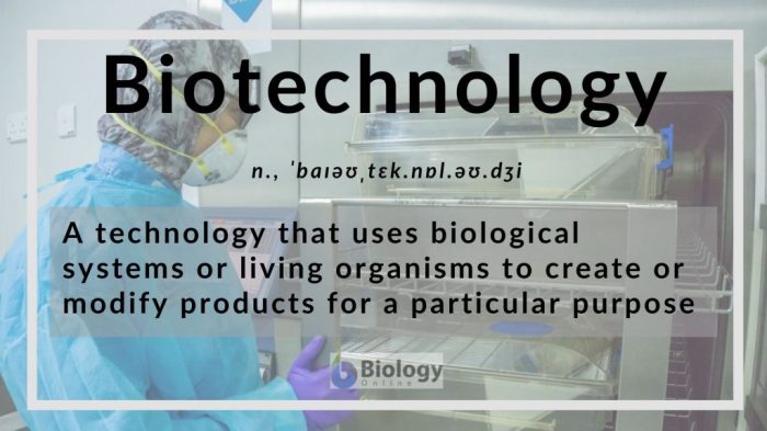 Biotechnology definition biology examples