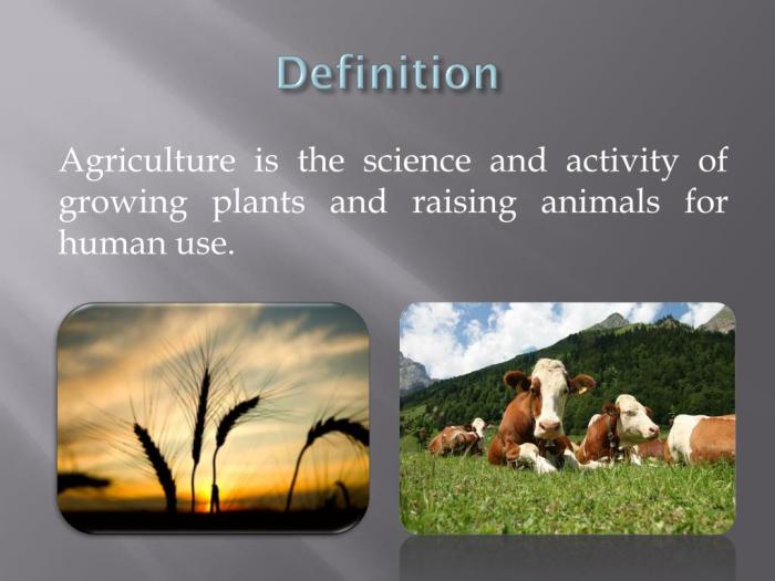 Pengertian Agrikultur Dan Perkembangannya