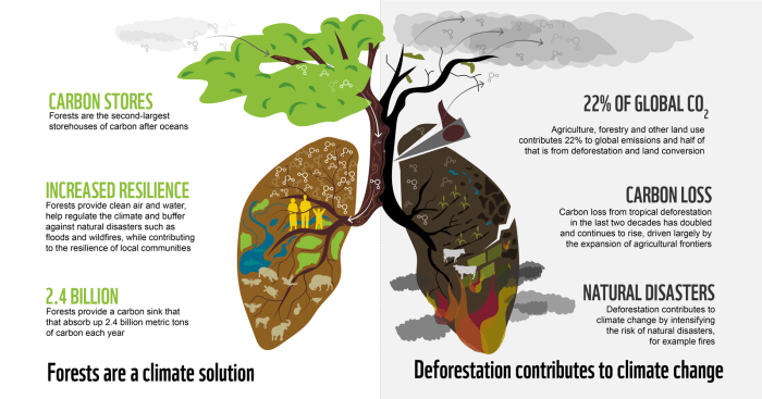 Forest wildlife benefits vegetation conservation natural ppt environment animals people provides powerpoint presentation multiple