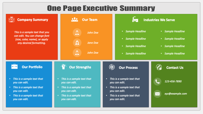 Summary executive examples template templates perfect templatelab kb