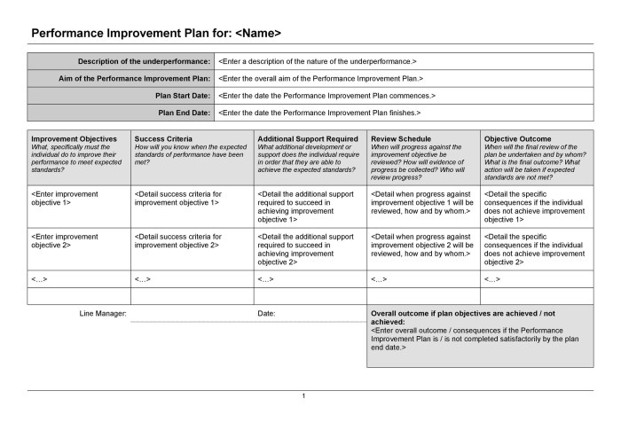 Plan performance examples improvement template templates action business development personal