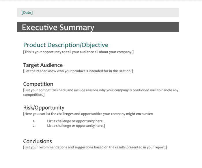 Summary executive example template examples sample templates business pdf word excel google here documents share